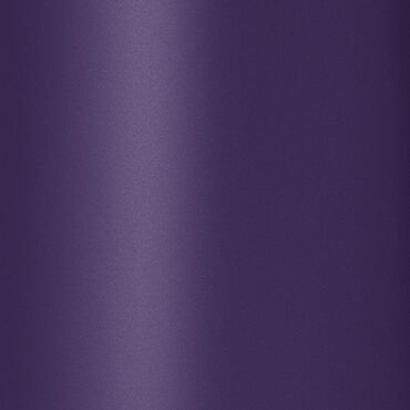 Tangle Teezer Original Purple