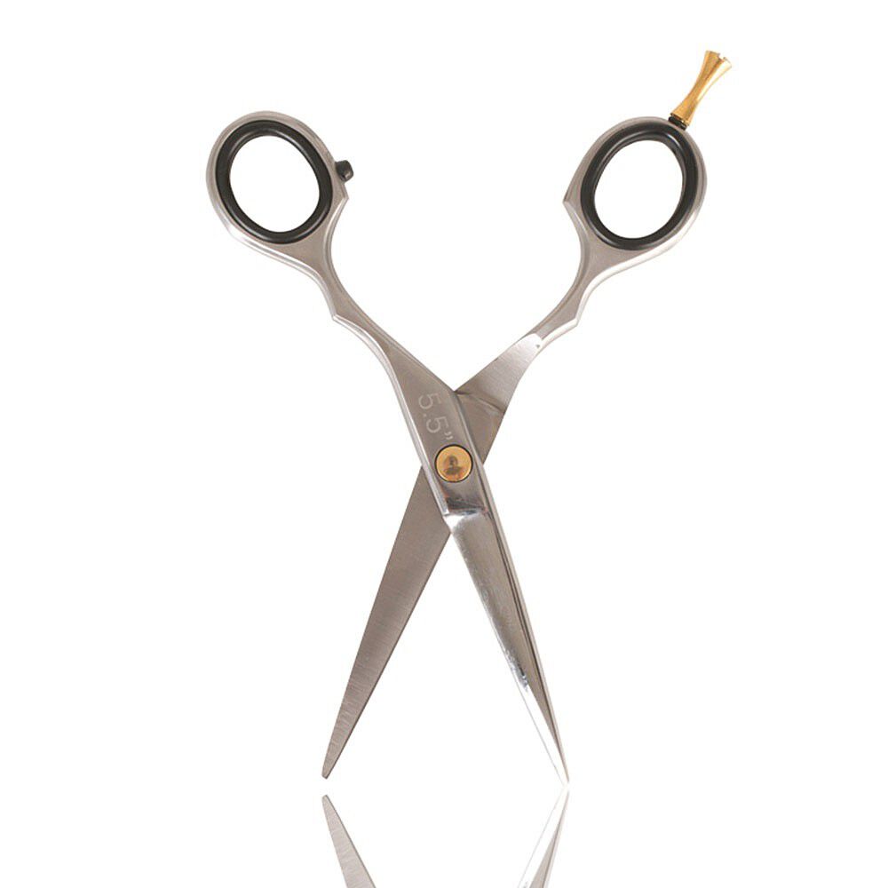 Salon Services S1 Scissors 5.5 Inch