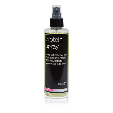 Salon Services Leave In Protein Spray 250ml