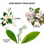 Color Wow Insta-Wow Advanced Dry Shampoo 200ml