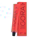 Schwarzkopf Professional Igora Royal Permanent Hair Colour - 1-1 Cendre Black 60ml