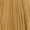 8.3 Light Gold Blonde