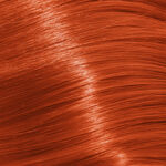 Schwarzkopf Professional Igora Royal Permanent Hair Colour - 8-77 Copper Extra Light Blonde 60ml