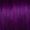 Plum Passion