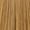 9.31 Very Light Gold Ash blonde