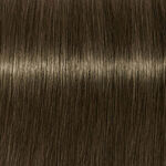 Schwarzkopf Professional Igora Royal Permanent Hair Colour - 6-31 Dark Blonde Matt Cendre 60ml