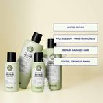Maria Nila Structure Repair Beauty Bag