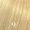 Very Light Blonde 9/