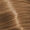 8.31 Golden Beige