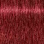 Schwarzkopf Professional Igora Zero AMM 6-88 Dark Blonde Red Extra 60ml