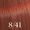 8/41 Light Blonde Red Ash