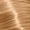09/37 Very Light Blond Gold Brown