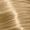 09/3 Very Light Blond Gold
