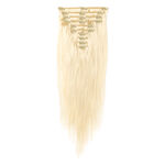Wildest Dreams 100% Human Hair Clip-In Extensions, Full Head, 18 inch/88g - 60 Blondest Blonde