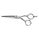 Saiza Scissors Tarantula 5.5"