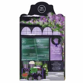 Paul Mitchell Tea Tree Lavender Mint Gift Set