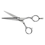 Saiza Scissors Tarantula 5.5"