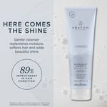 Paul Mitchell Awapuhi Wild Ginger HydraSoft Shampoo 1L