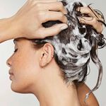 Paul Mitchell Awapuhi Wild Ginger HydraSoft Shampoo 1L