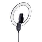 Daylight Company Aura Ring Lamp