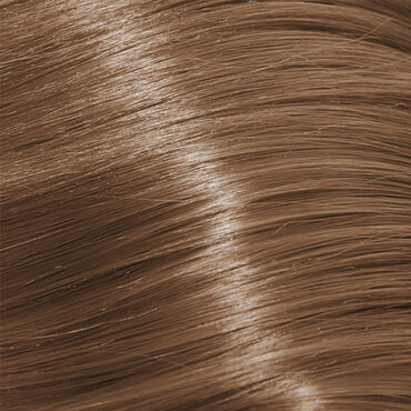Lomé Paris Permanent Hair Colour Crème, Reflex 8.13 Light Blonde Ash Gold 8.13 light blonde ash gold 100ml