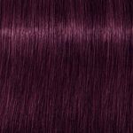 Schwarzkopf Professional Igora Zero AMM 4-99 Medium Brown Violet Extra 60ml