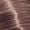 10/95 Lightest Blonde Cendre Mahogany