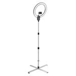 Daylight Company Aura Ring Lamp