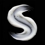 Sebastian Professional Dark Oil Smooth & Shine Mask 500ml