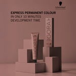 Schwarzkopf Professional Igora Color 10 Permanent Hair Colour - 5-0 Light Brown 60ml