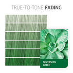 Wella Professionals Color Fresh Create Semi Permanent Hair Colour - Neverseen Green 60ml