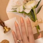 Andreia Professional I Do Collection Hybrid Gel - Fusion Color ID2 Nude With gold sparkles 10.5ml