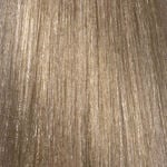 L'Oréal Professionnel INOA Permanent Hair Colour - 10.1 Lightest Natural Ash Blonde 60ml
