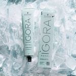 Schwarzkopf Professional Igora Royal Highlifts Permanent Hair Colour - 10-19 Ultra Blonde Cendré Violet 60ml