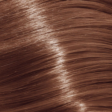 Indola Profession Caring Color Permanent Hair Colour - 8.32 Light Blonde Gold Pearl 60ml