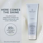Paul Mitchell Awapuhi Wild Ginger HydraSoft Conditioner 250ml
