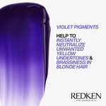 Redken Color Extend Blondage Express Anti-Brass Mask 250ml