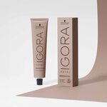Schwarzkopf Professional Igora Royal Absolutes Permanent Hair Colour - 6-60 Dark Blonde Chocolate Natural 60ml