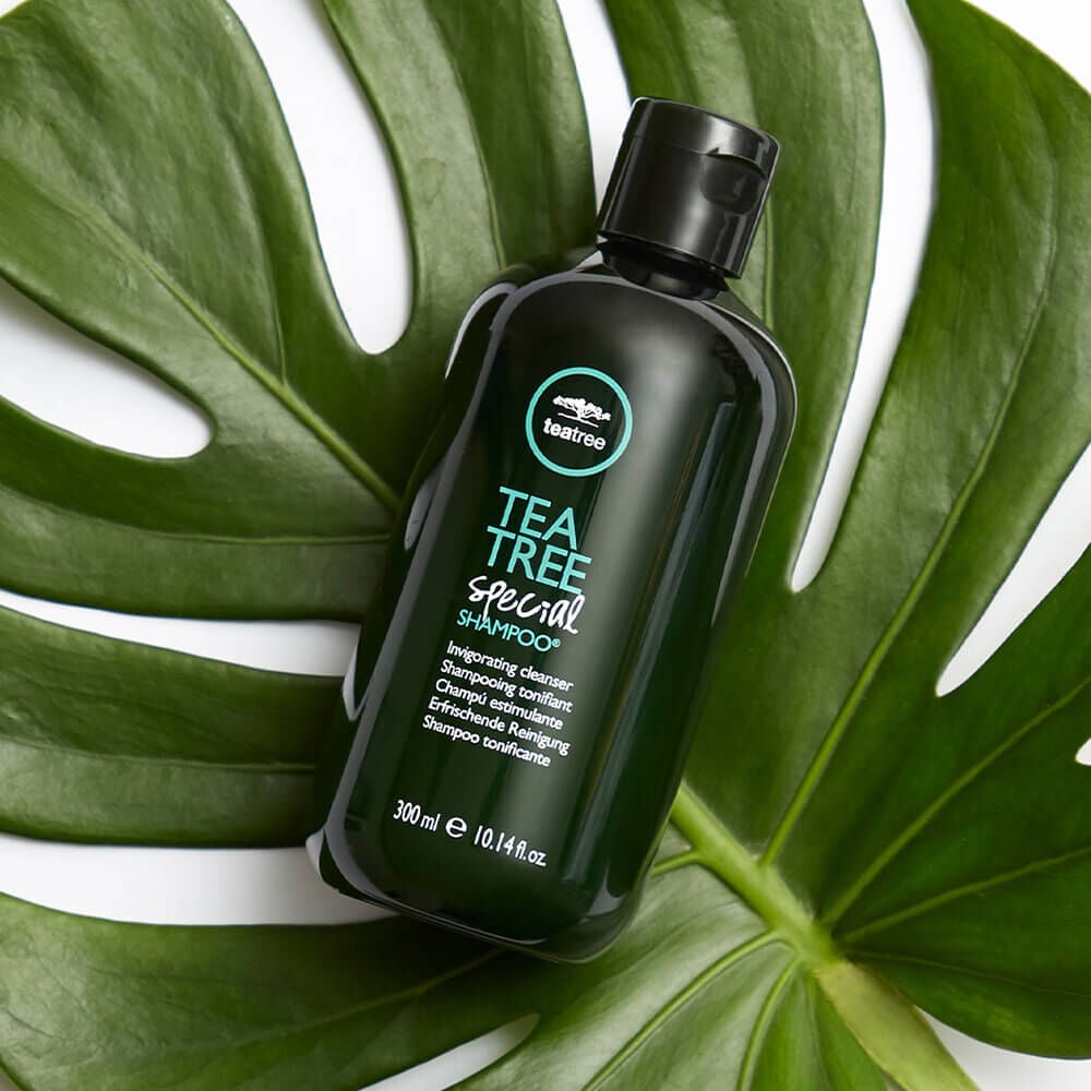 Paul Mitchell Tea Tree Special Shampoo 300ml Shampoo Sally Beauty