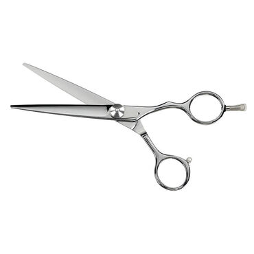 Saiza Scissors Tarantula 6" Saiza Scissors Tarantula 6"