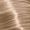 09/6 Very Light Blond Violet