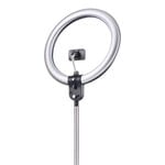 Daylight Company Aura Ring Lamp