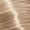 09/07 Very Light Blond Natural Brown