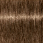 Indola Professional Xpress Color Permanent Hair Colour - 6.03 Dark Blonde Natural Gold 60ml