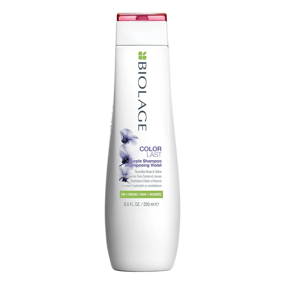 Purple shop shampoo sally's
