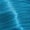 Wild Blue