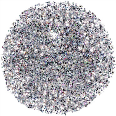 Nazila Fine Glitter Pigments - Silver 5g