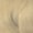 010AG Misty Beige
