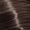 5.32 Coffee Brown