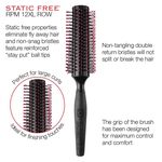Cricket Finishing Brush, 12XL Row